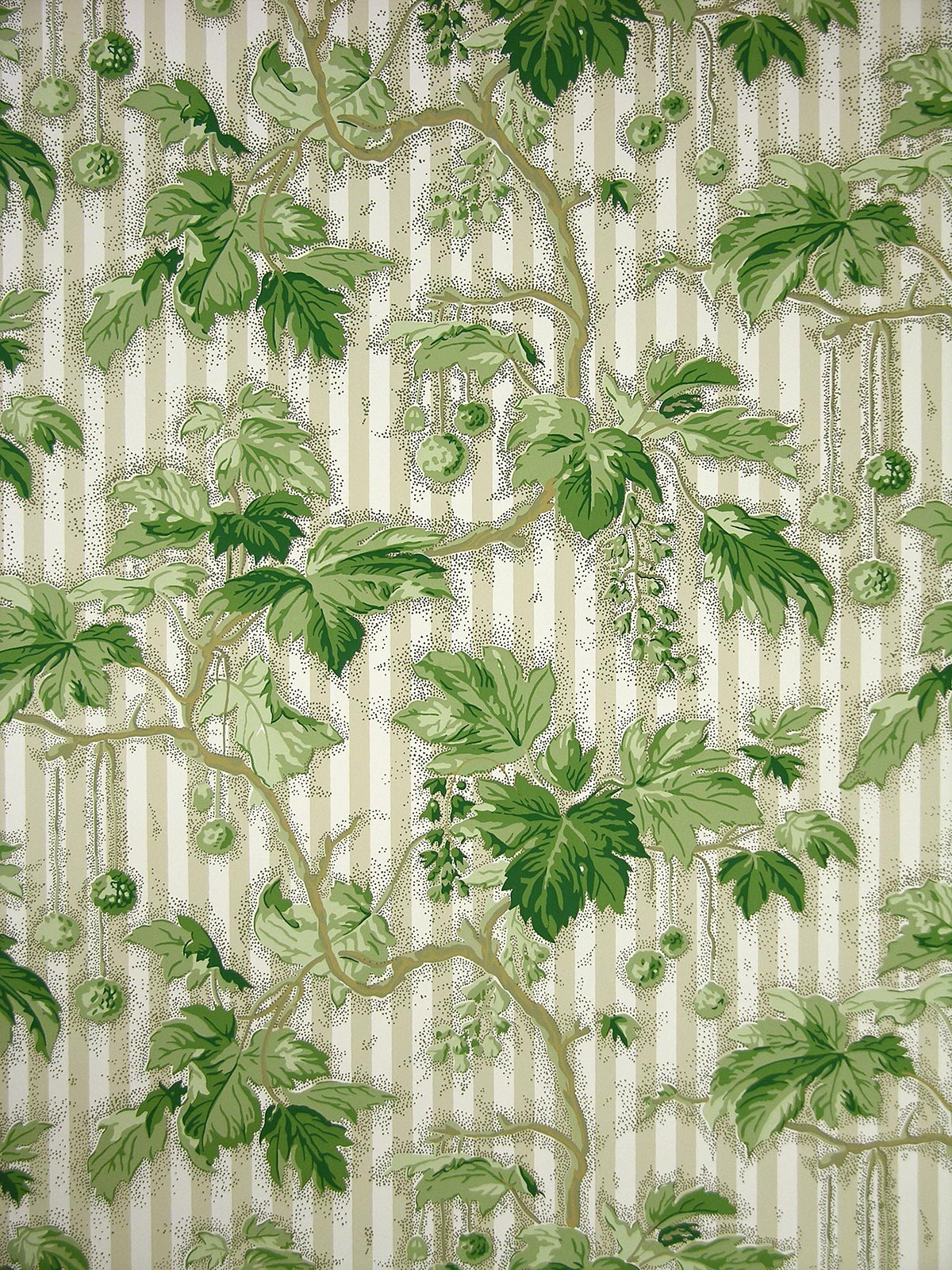 Maypops Stripe Wallpaper